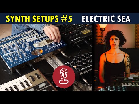 Synth Setup Tips #5 // How to perform breaks, drops and transitions ft. Electric Sea's DAWless set
