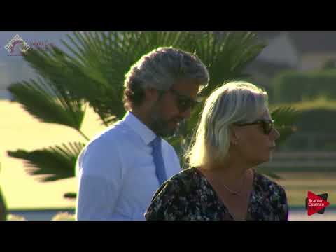 N.57 D SHALLAL - Chantilly 2018 AHO World Cup - 2 Years Old Colts (Class 7)