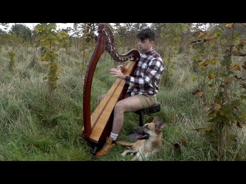 Fiachra Ó Corragáin | Harp Day 2021