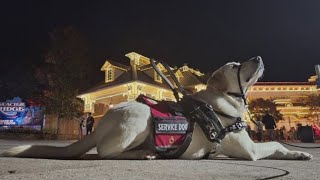 Nonprofit pairing wounded military veterans and first responders with dogs