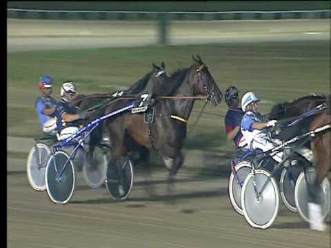 Trotto 08/07/2017 - 5ª corsa