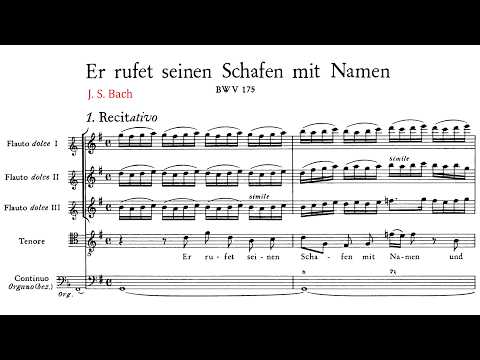 Bohemian Baroque