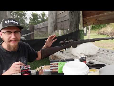 Italian 1870/87 Vetterli 10.4x47mmR to .44 Special Insert : Accuracy