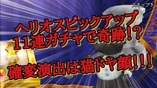 [ファンタジーアースジェネシス(Fantasy Earth Genesis)FEG]ヘリオスピックアップ11連ガチャ実況で奇跡の猫ドヤ顔！？　結果ぶっつけウィザード対戦実況してみました♪