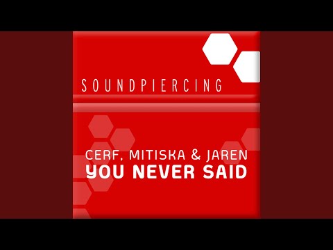 You Never Said (Dash Berlin Remix)
