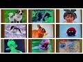 REUPLOAD 9 Neighborhood Animals Music Videos Playing At The Same Time