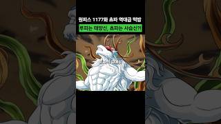 원피스 1177화 쵸파 역대급 떡밥 공개!루피는 태양신, 쵸파는 사슴신?!