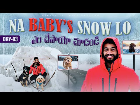 Road trip to Snow mountains | How to travel with dogs | Dinner plains Victoria - Day 03