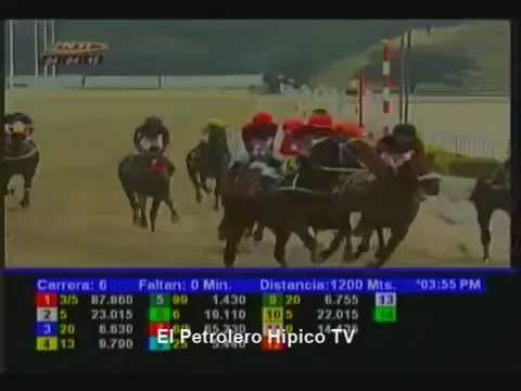 EL PETROLERO HIPICO Presenta Resumen Carreras Sabado 4 de Abril La Rinconada