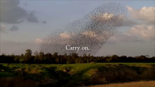 Sanctuary - By Carrie Newcomer