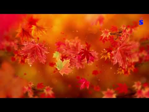 Somos Tv Noticias 22-6-2025