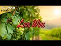 Love Wine Romantic Comedy Full Movie