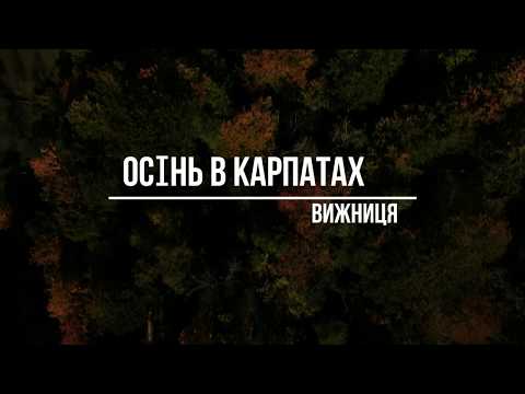Wyżnica — Wideo
