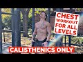 THREE BODYWEIGHT ONLY CHEST WORKOUTS | PROGRESSIVE OVERLOAD FOR GAINS | HOW MUCH VOLUME DO YOU NEED?
