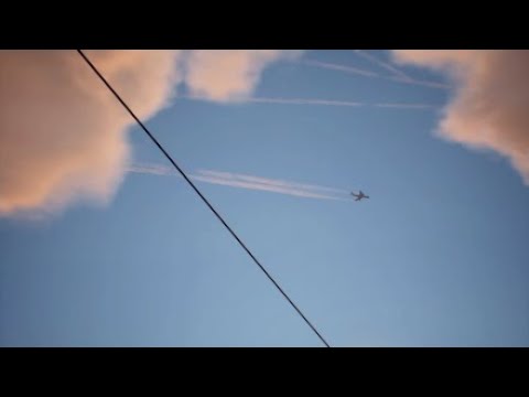 Life is Strange 2: Max and Principal Well's Easter Egg