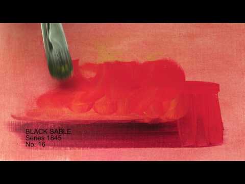 BLACK SABLE Series 1845 No 16