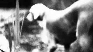 A Grave With No Name - Aurora (Official)