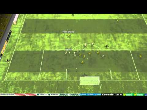 FC Brasov vs FCM Tg. Mures - Fernandez Goal 35th minute