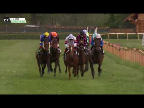 LL, 1. 5. 2018, 7. dostih - CENA SPOLEČNOSTI HRADEC