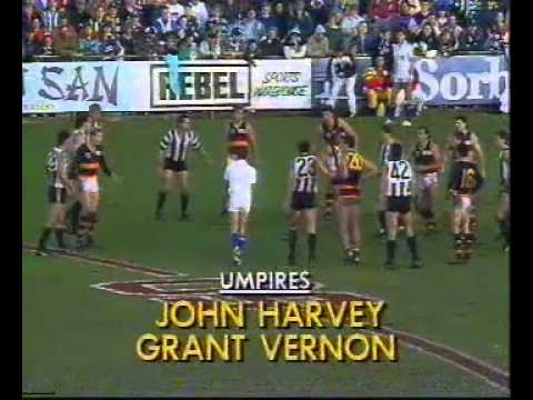 1991 AFL Season   Round 15   Adelaide Crows v Collingwood ; 3rd quarter