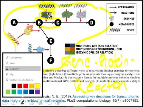 Lecture 6.2 - COBRA Toolbox | Genome Scale Metabolic Models