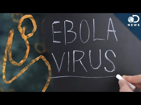 Everything You Need To Know About Ebola In Under 3 Minutes