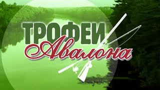 Зимния рыбалка на нижней волге