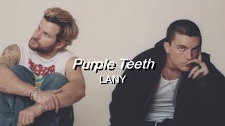 &quot;Purple Teeth&quot; LANY 【和訳】