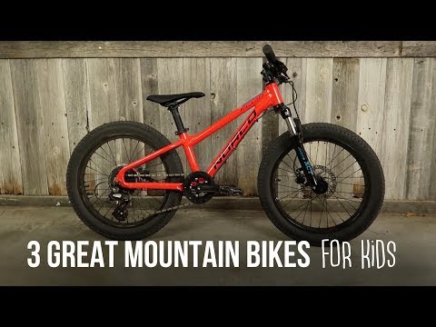 3 Great Mountain Bikes for Kids!