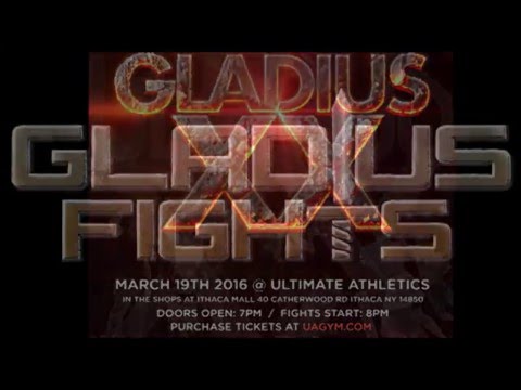 GLADIUS FIGHTS 20.