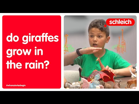 “Big Questions” Episode #2