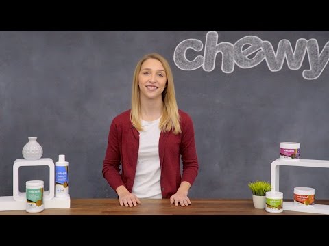 Solid Gold Supplements | Chewy