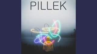 Pillek - Dollar Signs video