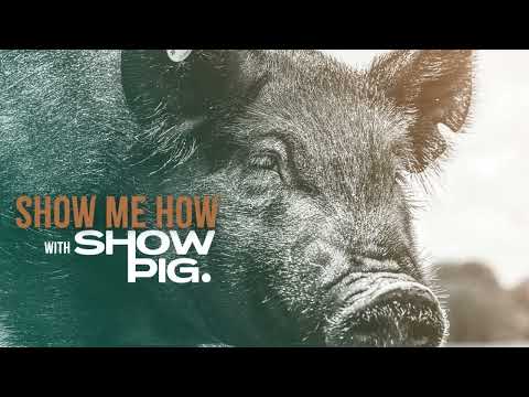 Mastering Showpig Com Auctions With A Calendar View
