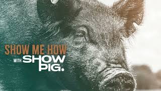Show Me How with Showpig: Navigate the Auction Platform