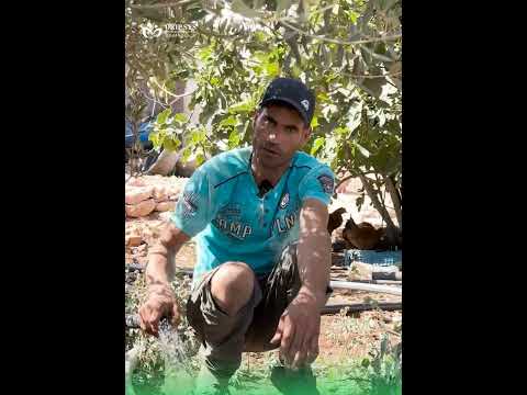 شهادة فلاح 5