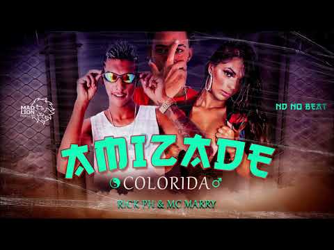 RICK PH E MC MARRY - AMIZADE COLORIDA - BREGA FUNK