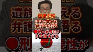 ●刑の必要性が分かる弁護士の熱弁 #政治 #死刑囚 #法律