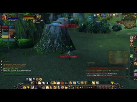 Taugrim's Protection Paladin 80 PVP (Patch 4.0): Survivability / Burst