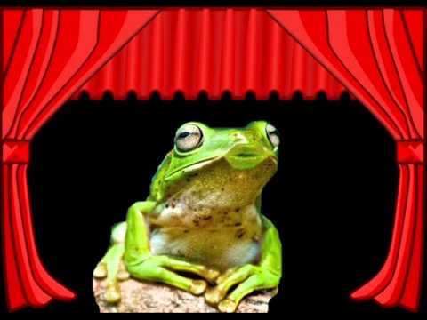 I love you Frog Song Chuck Cordero 2013