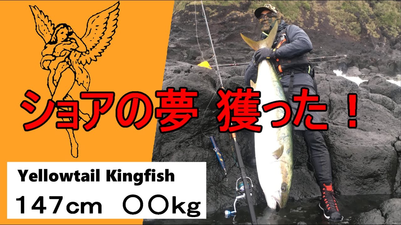 地磯のヒラマサは１４７ｃｍ