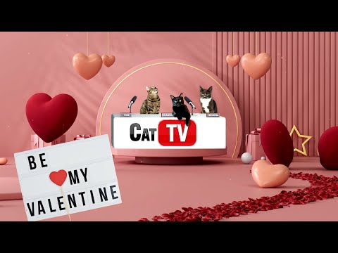Cat Games | ❤️  Valentine's Day Vibes: Love-Themed Scenes & Lofi Beats for Cats | Cat TV Compilation