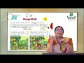 Class 04 English Mango Birds Part 01