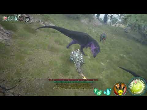 Sai vs 3 rex vs Acro shenanigan(interference)