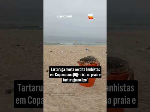 Vídeo: Tartaruga marinha morta é resgatada de lixeira por banhistas na praia de Copacabana