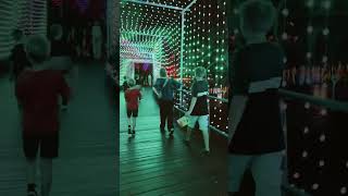 Roma Street Parkland #australia #brisbane #オーストラリア#ブリスベン#illumination #クリスマス#christmas