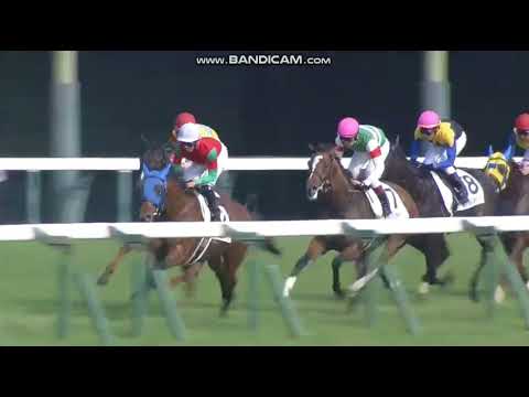 2016 Japanese Derby Inetrnational Group 1 2400m