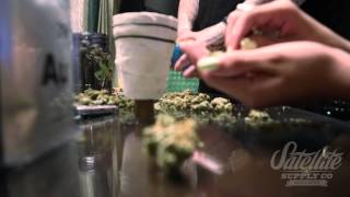 World's First Double Cup Blunt