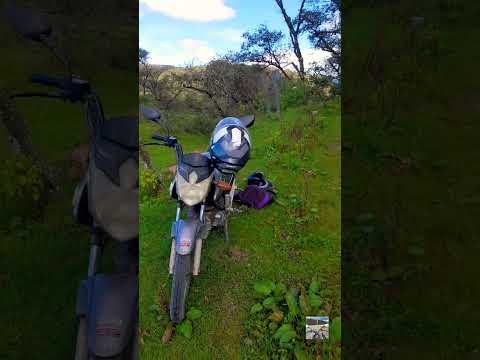 ruta camino a las laguna de yala