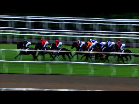 Patron's Bowl 2014 (Spalato)